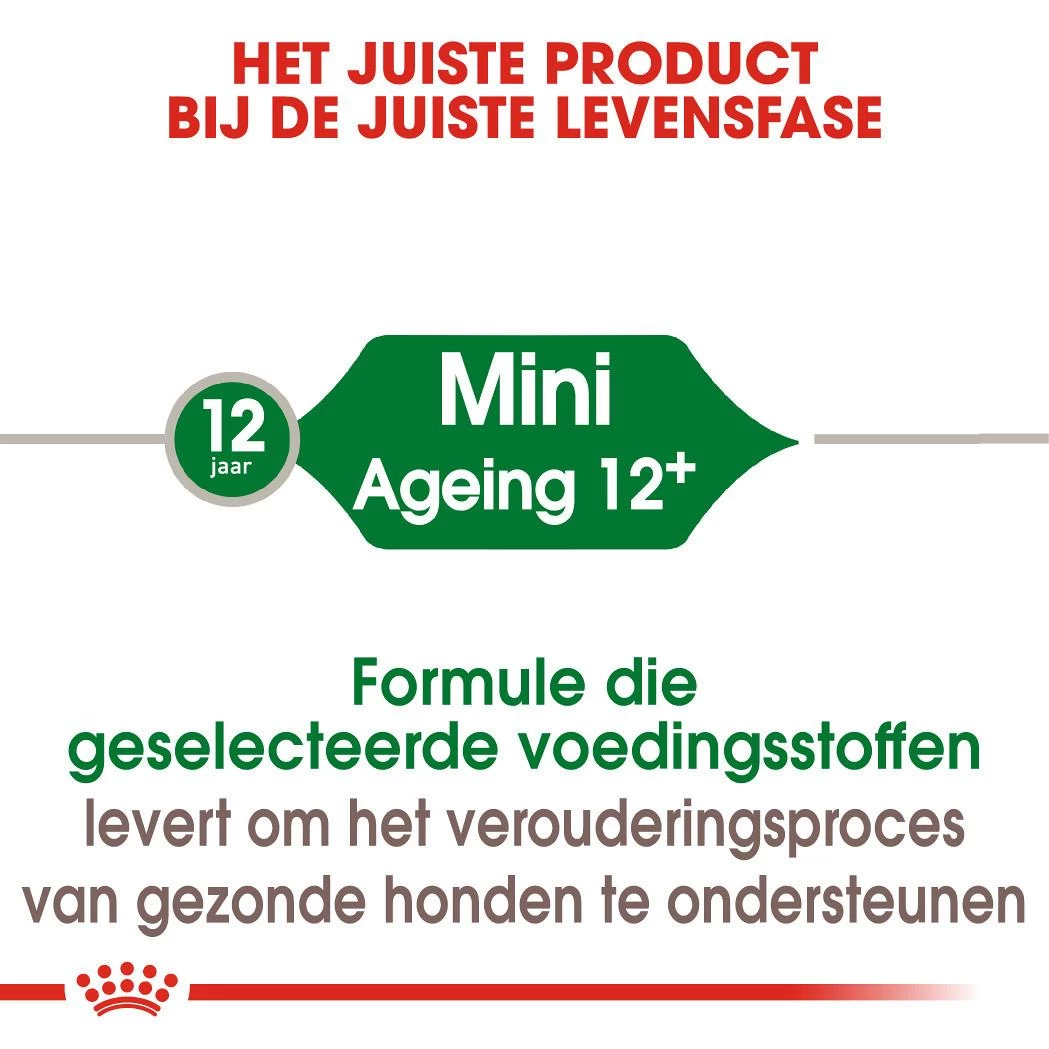 Royal Canin Hondenvoer Mini Ageing 12+ 3,5 Kg 4 Royal Canin Hondenvoer Mini Ageing 12+ 3,5 Kg - Afbeelding 4