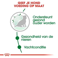 Royal Canin Hondenvoer Mini Ageing 12+ 3,5 Kg 6 Royal Canin Hondenvoer Mini Ageing 12+ 3,5 Kg -ROYAL CANIN Huisdier royal canin mini ageing 12plus senior hond oudere hond vanaf 12 jaar hero usp 1