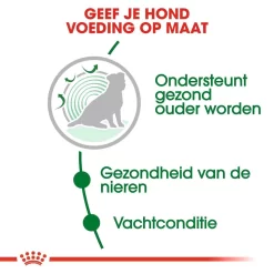 Royal Canin Hondenvoer Mini Ageing 12+ 1,5 Kg 5 Royal Canin Hondenvoer Mini Ageing 12+ 1,5 Kg -ROYAL CANIN Huisdier royal canin mini ageing 12plus senior hond oudere hond vanaf 12 jaar hero usp