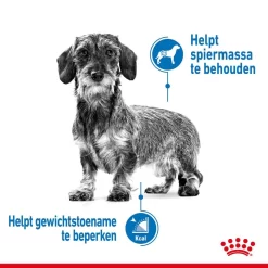 Royal Canin Hondenvoer Light Weight Care Mini 3 Kg -ROYAL CANIN Huisdier royal canin mini light weight care volwassen hond gezond gewicht kleine hondenrassen hero image 8 1