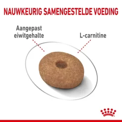ROYAL CANIN Huisdier -ROYAL CANIN Huisdier royal canin mini light weight care volwassen hond gezond gewicht kleine hondenrassen hero kibble 1
