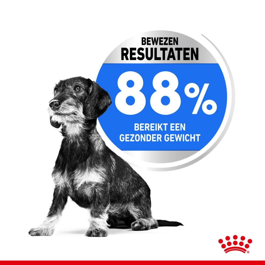 Royal Canin Hondenvoer Light Weight Care Mini 8 Kg 4 Royal Canin Hondenvoer Light Weight Care Mini 8 Kg - Afbeelding 4