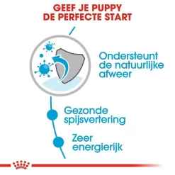 Royal Canin Hondenvoer Mini Puppy 12 X 85 Gr 7 Royal Canin Hondenvoer Mini Puppy 12 X 85 Gr -ROYAL CANIN Huisdier royal canin mini puppy natvoer hond kleine hondenrassen hero usp