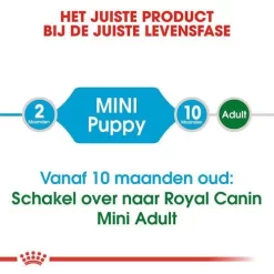 Royal Canin Hondenvoer Mini Puppy 2 Kg 7 Royal Canin Hondenvoer Mini Puppy 2 Kg -ROYAL CANIN Huisdier royal canin mini puppy pup hond kleine hondenrassen hero image 8 1