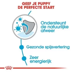 Royal Canin Hondenvoer Mini Puppy 2 Kg 6 Royal Canin Hondenvoer Mini Puppy 2 Kg -ROYAL CANIN Huisdier royal canin mini puppy pup hond kleine hondenrassen hero usp 1
