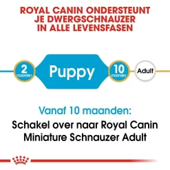 Royal Canin Hondenvoer Mini Schnauzer Puppy 1,5 Kg 7 Royal Canin Hondenvoer Mini Schnauzer Puppy 1,5 Kg -ROYAL CANIN Huisdier royal canin mini schnauzer junior pup hond dwergschnauzer hero image 9