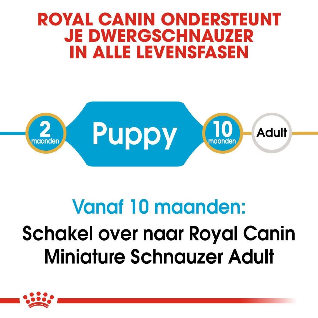 Royal Canin Hondenvoer Mini Schnauzer Puppy 1,5 Kg 4 Royal Canin Hondenvoer Mini Schnauzer Puppy 1,5 Kg - Afbeelding 4