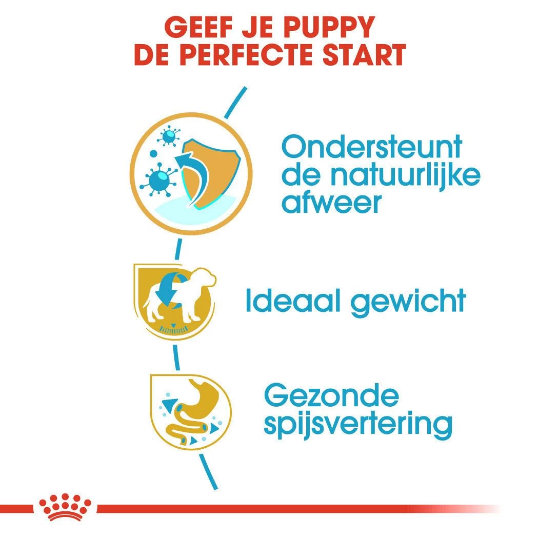 Royal Canin Hondenvoer Mini Schnauzer Puppy 1,5 Kg 3 Royal Canin Hondenvoer Mini Schnauzer Puppy 1,5 Kg - Afbeelding 3