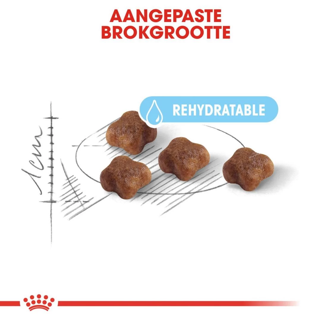 Royal Canin Kattenvoer Mother & Babycat 2 Kg 2 Royal Canin Kattenvoer Mother & Babycat 2 Kg - Afbeelding 2