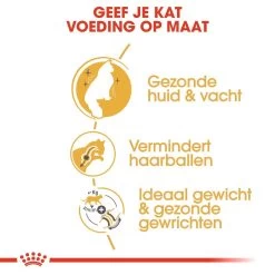 Royal Canin Kattenvoer Norwegian Forest Cat Adult 10 Kg -ROYAL CANIN Huisdier royal canin norwegian forest cat adult volwassen kat noorse boskat hero usp 1