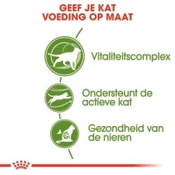 Royal Canin Kattenvoer Outdoor 7+ 10 Kg -ROYAL CANIN Huisdier royal canin outdoor 7plus volwassen kat buitenkatten vanaf 7 jaar hero usp 2