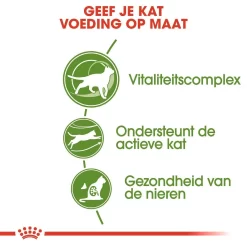 Royal Canin Kattenvoer Outdoor 7+ 2 Kg 6 Royal Canin Kattenvoer Outdoor 7+ 2 Kg -ROYAL CANIN Huisdier royal canin outdoor 7plus volwassen kat buitenkatten vanaf 7 jaar hero usp