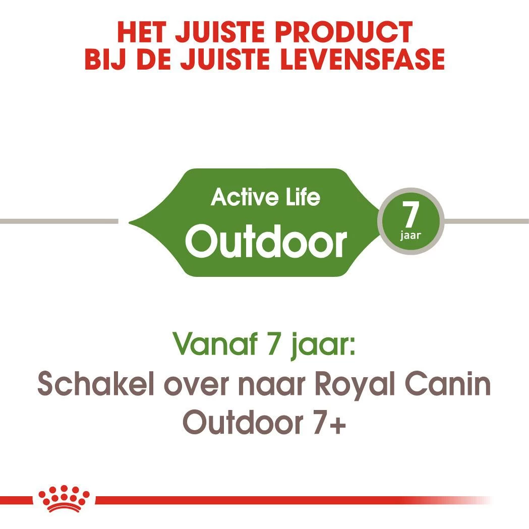 Royal Canin Kattenvoer Outdoor 4 Kg 4 Royal Canin Kattenvoer Outdoor 4 Kg - Afbeelding 4