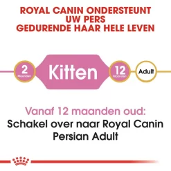 Royal Canin Kattenvoer Persian Kitten 2 Kg 7 Royal Canin Kattenvoer Persian Kitten 2 Kg -ROYAL CANIN Huisdier royal canin persian kitten kitten kat pers hero image 8 1