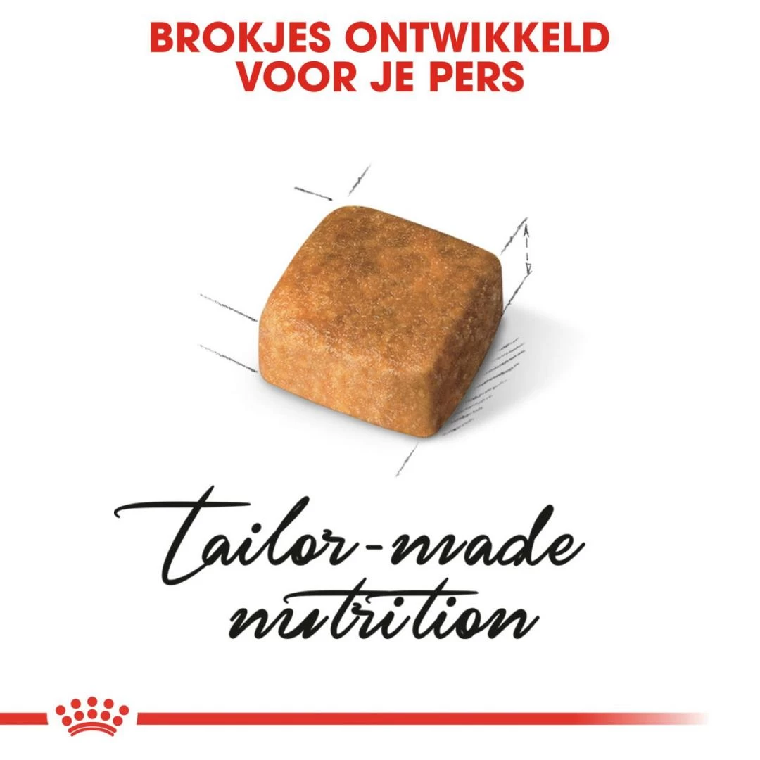 Royal Canin Kattenvoer Persian Kitten 4 Kg 2 Royal Canin Kattenvoer Persian Kitten 4 Kg - Afbeelding 2