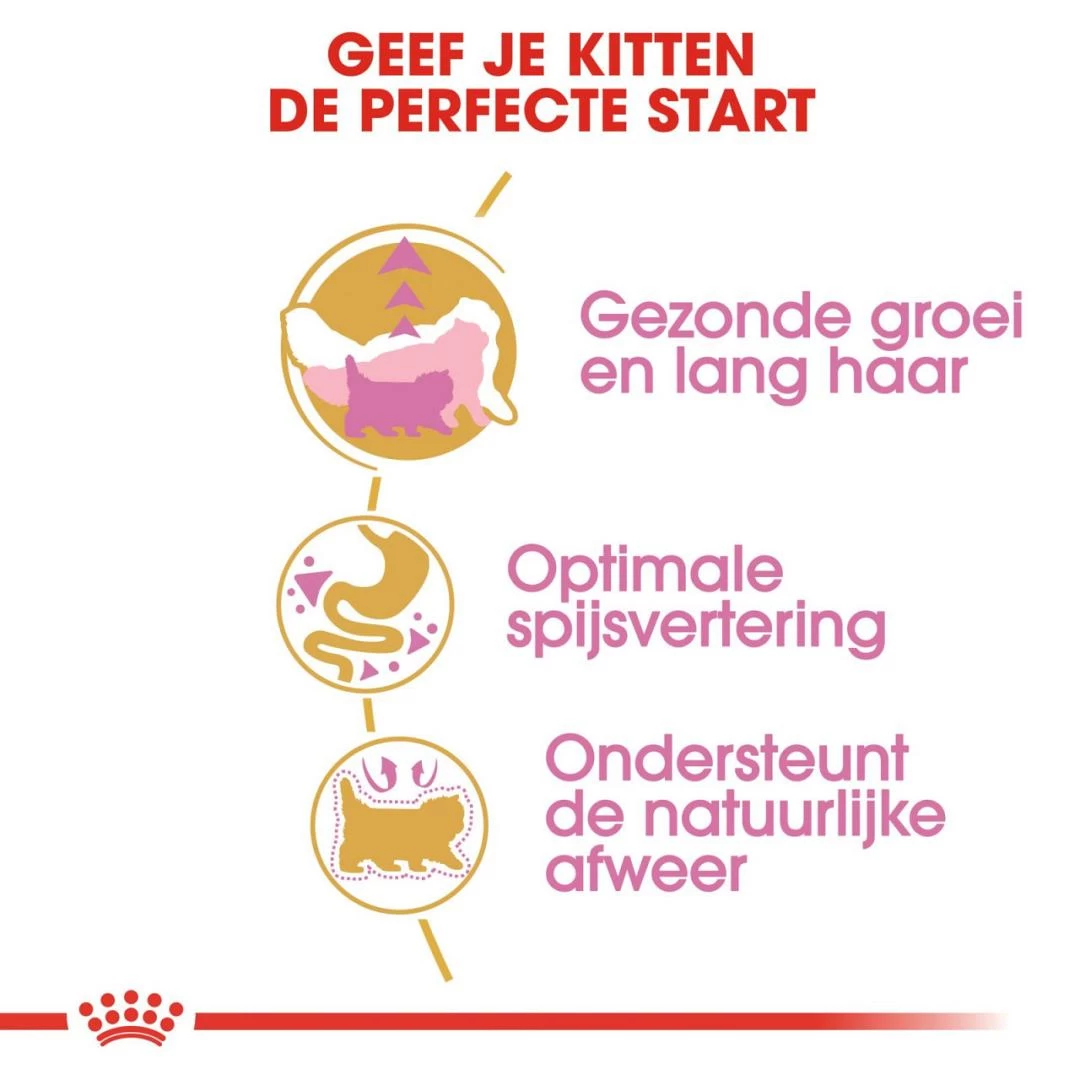 Royal Canin Kattenvoer Persian Kitten 4 Kg 3 Royal Canin Kattenvoer Persian Kitten 4 Kg - Afbeelding 3