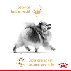 Royal Canin Hondenvoer Pomeranian Adult 1,5 Kg 5 Royal Canin Hondenvoer Pomeranian Adult 1,5 Kg -ROYAL CANIN Huisdier royal canin pomerian adult volwassen hond dwergkees vanaf 8 maanden hero usp