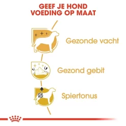 Royal Canin Hondenvoer Poodle Adult 7,5 Kg 5 Royal Canin Hondenvoer Poodle Adult 7,5 Kg -ROYAL CANIN Huisdier royal canin poodle adult volwassen hond poedel vanaf 10 maanden hero usp 1