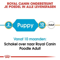 Royal Canin Hondenvoer Poodle Puppy 3 Kg 7 Royal Canin Hondenvoer Poodle Puppy 3 Kg -ROYAL CANIN Huisdier royal canin poodle junior pup hond poedel hero image 9