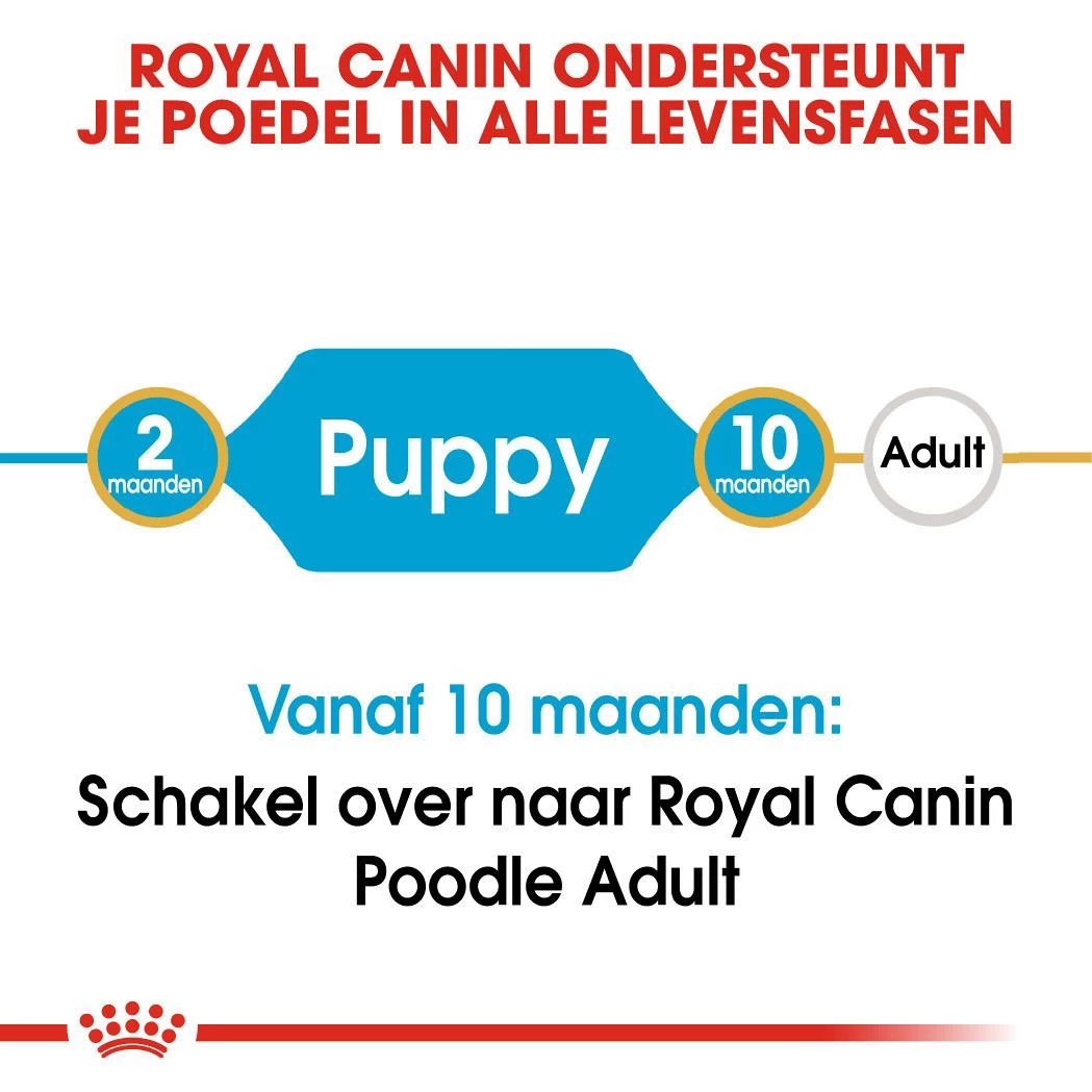Royal Canin Hondenvoer Poodle Puppy 3 Kg 4 Royal Canin Hondenvoer Poodle Puppy 3 Kg - Afbeelding 4