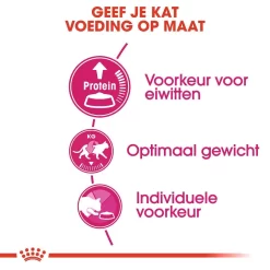 Royal Canin Kattenvoer Protein Exigent 2 Kg -ROYAL CANIN Huisdier royal canin protein exigent volwassen kat kieskeurige katten hero usp