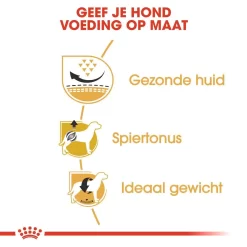 Royal Canin Hondenvoer Pug Adult 1,5 Kg 5 Royal Canin Hondenvoer Pug Adult 1,5 Kg -ROYAL CANIN Huisdier royal canin pug mopshond adult volwassen hond mopshond vanaf 10 maanden hero usp 1
