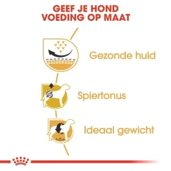 Royal Canin Hondenvoer Pug Adult <br>3 Kg 5 Royal Canin Hondenvoer Pug Adult <br>3 Kg -ROYAL CANIN Huisdier royal canin pug mopshond adult volwassen hond mopshond vanaf 10 maanden hero usp