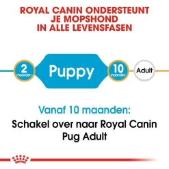 Royal Canin Hondenvoer Pug Puppy 1,5 Kg 7 Royal Canin Hondenvoer Pug Puppy 1,5 Kg -ROYAL CANIN Huisdier royal canin pug mopshond junior pup hond mopshond hero image 9
