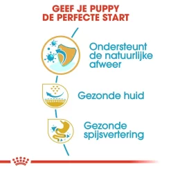 Royal Canin Hondenvoer Pug Puppy 1,5 Kg 6 Royal Canin Hondenvoer Pug Puppy 1,5 Kg -ROYAL CANIN Huisdier royal canin pug mopshond junior pup hond mopshond hero usp