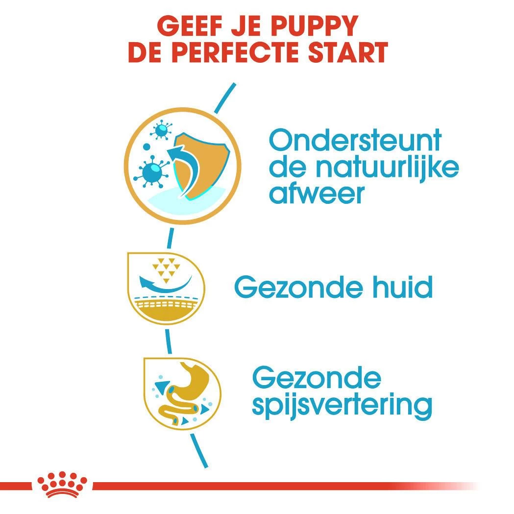 Royal Canin Hondenvoer Pug Puppy 1,5 Kg 3 Royal Canin Hondenvoer Pug Puppy 1,5 Kg - Afbeelding 3