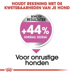 Royal Canin Hondenvoer Relax Care Mini 8 Kg 7 Royal Canin Hondenvoer Relax Care Mini 8 Kg -ROYAL CANIN Huisdier royal canin relax care mini extra zorg gedrag volwassen kleine honden hero image 9 1