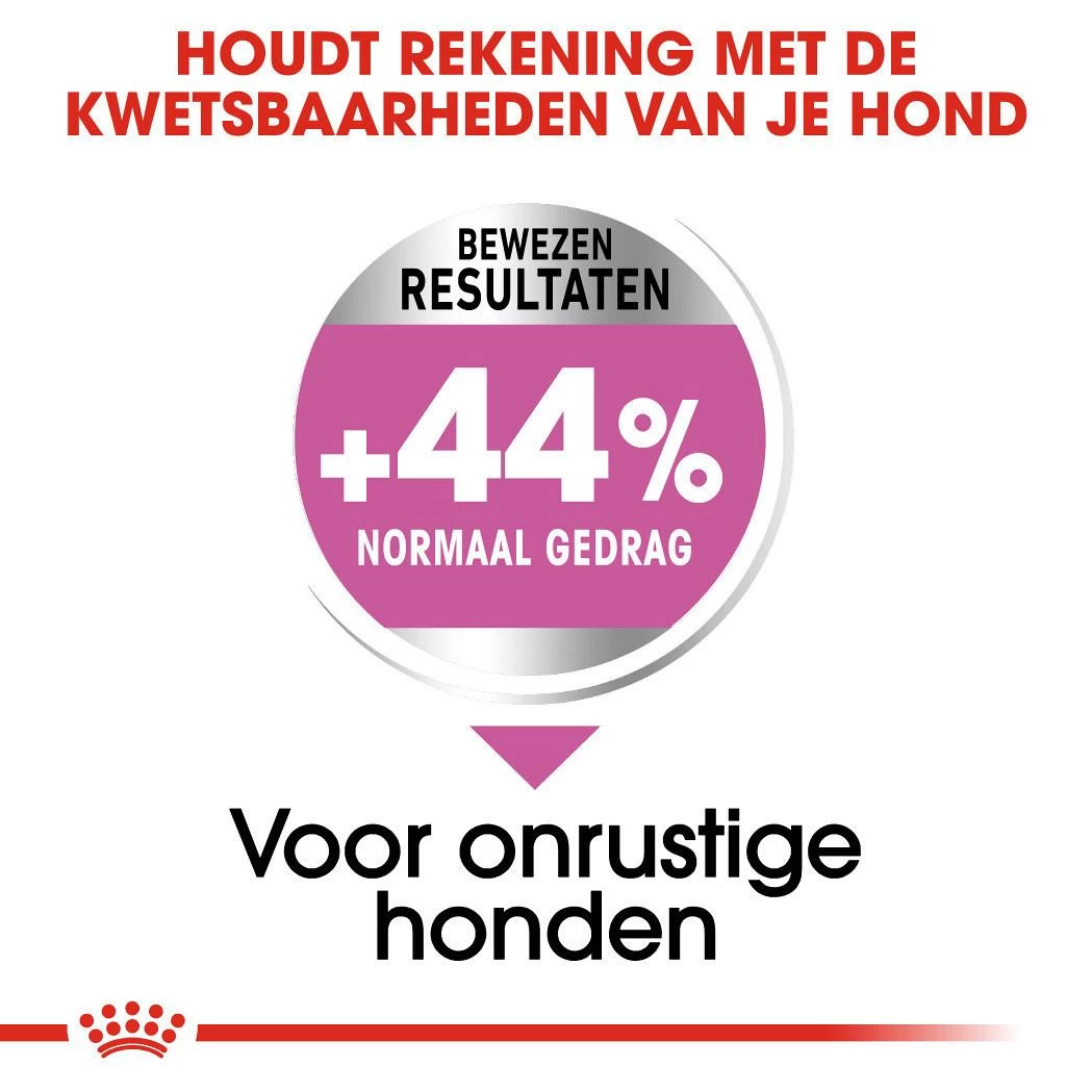 Royal Canin Hondenvoer Relax Care Mini 3 Kg 4 Royal Canin Hondenvoer Relax Care Mini 3 Kg - Afbeelding 4