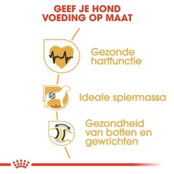 Royal Canin Hondenvoer Rottweiler Adult 12 Kg 5 Royal Canin Hondenvoer Rottweiler Adult 12 Kg -ROYAL CANIN Huisdier royal canin rottweiler adult volwassen hond rottweiler vanaf 18 maanden hero usp