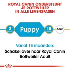 Royal Canin Hondenvoer Rottweiler Puppy 3 Kg 7 Royal Canin Hondenvoer Rottweiler Puppy 3 Kg -ROYAL CANIN Huisdier royal canin rottweiler junior pup hond rottweiler hero image 9 1