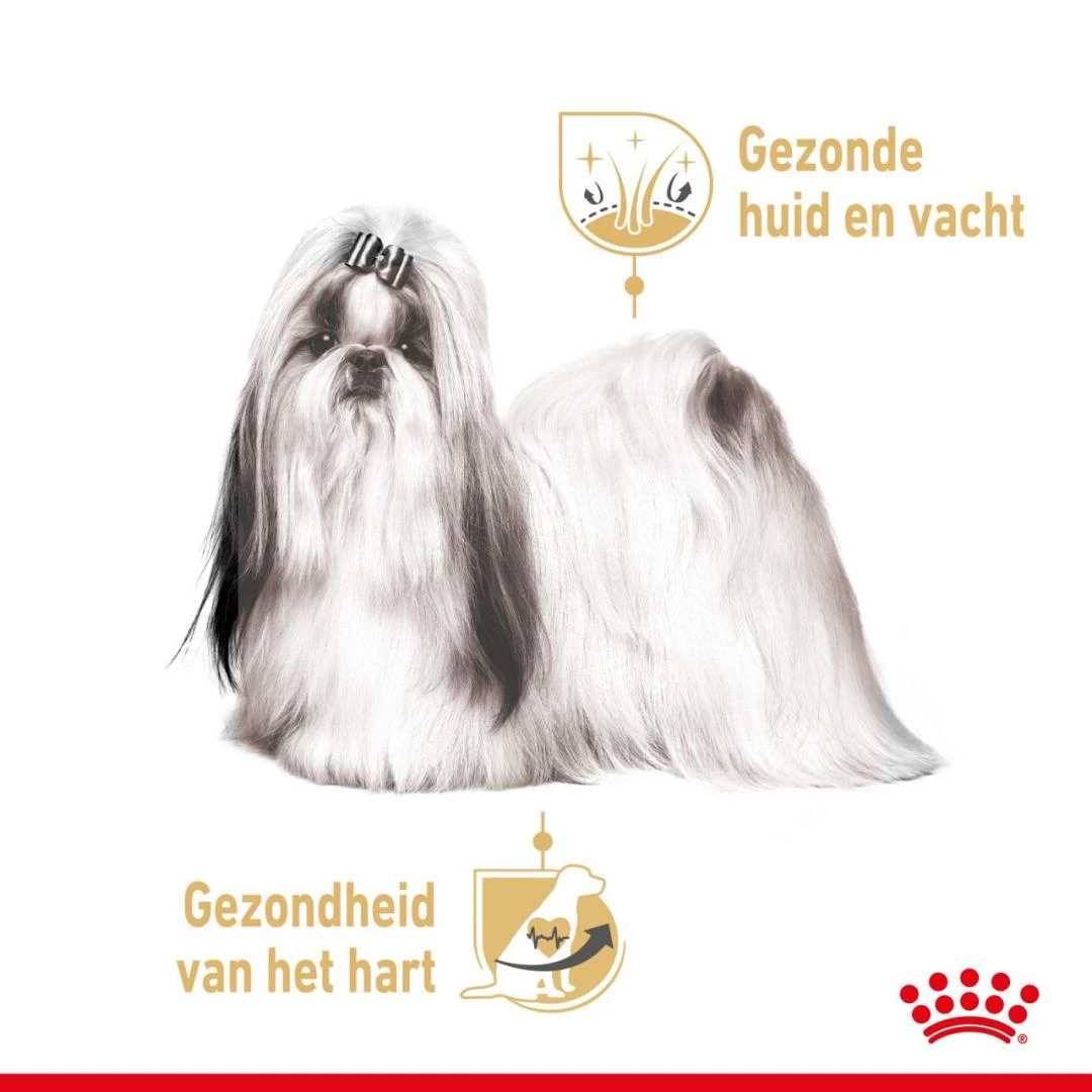 Royal Canin Hondenvoer Shih Tzu Adult 12 X 85 Gr 4 Royal Canin Hondenvoer Shih Tzu Adult 12 X 85 Gr - Afbeelding 4