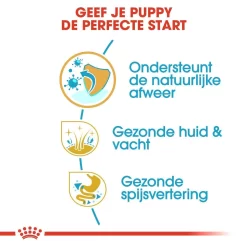 Royal Canin Hondenvoer Shih Tzu Puppy 1,5 Kg 6 Royal Canin Hondenvoer Shih Tzu Puppy 1,5 Kg -ROYAL CANIN Huisdier royal canin shih tzu junior pup hond shih tzu hero usp