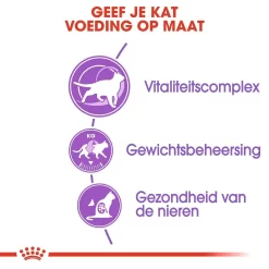 Royal Canin Kattenvoer Sterilised 7+ 1,5 Kg -ROYAL CANIN Huisdier royal canin sterilised 7plus volwassen kat castratie sterilisatie hero usp 2