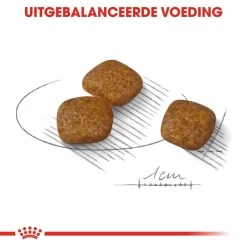 ROYAL CANIN Huisdier -ROYAL CANIN Huisdier royal canin urinary care mini extra zorg urinewegen volwassen kleine honden hero kibble 1