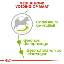 Royal Canin Hondenvoer X-Small Adult 8+ 3 Kg 5 Royal Canin Hondenvoer X-Small Adult 8+ 3 Kg -ROYAL CANIN Huisdier royal canin x small adult 8plus volwassen hond zeer kleine hondenrassen vanaf 8 jaar hero usp