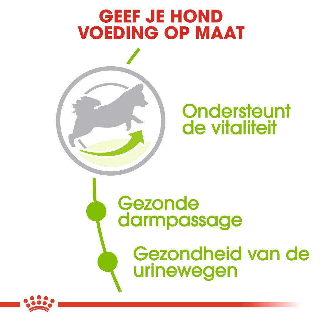 Royal Canin Hondenvoer X-Small Adult 8+ 3 Kg 3 Royal Canin Hondenvoer X-Small Adult 8+ 3 Kg - Afbeelding 3