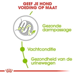 Royal Canin Hondenvoer X-Small Adult 3 Kg -ROYAL CANIN Huisdier royal canin x small adult volwassen hond zeer kleine hondenrassen hero usp 2