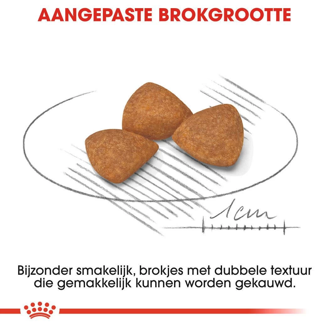 Royal Canin Hondenvoer X-Small Ageing 12+ 1,5 Kg 2 Royal Canin Hondenvoer X-Small Ageing 12+ 1,5 Kg - Afbeelding 2