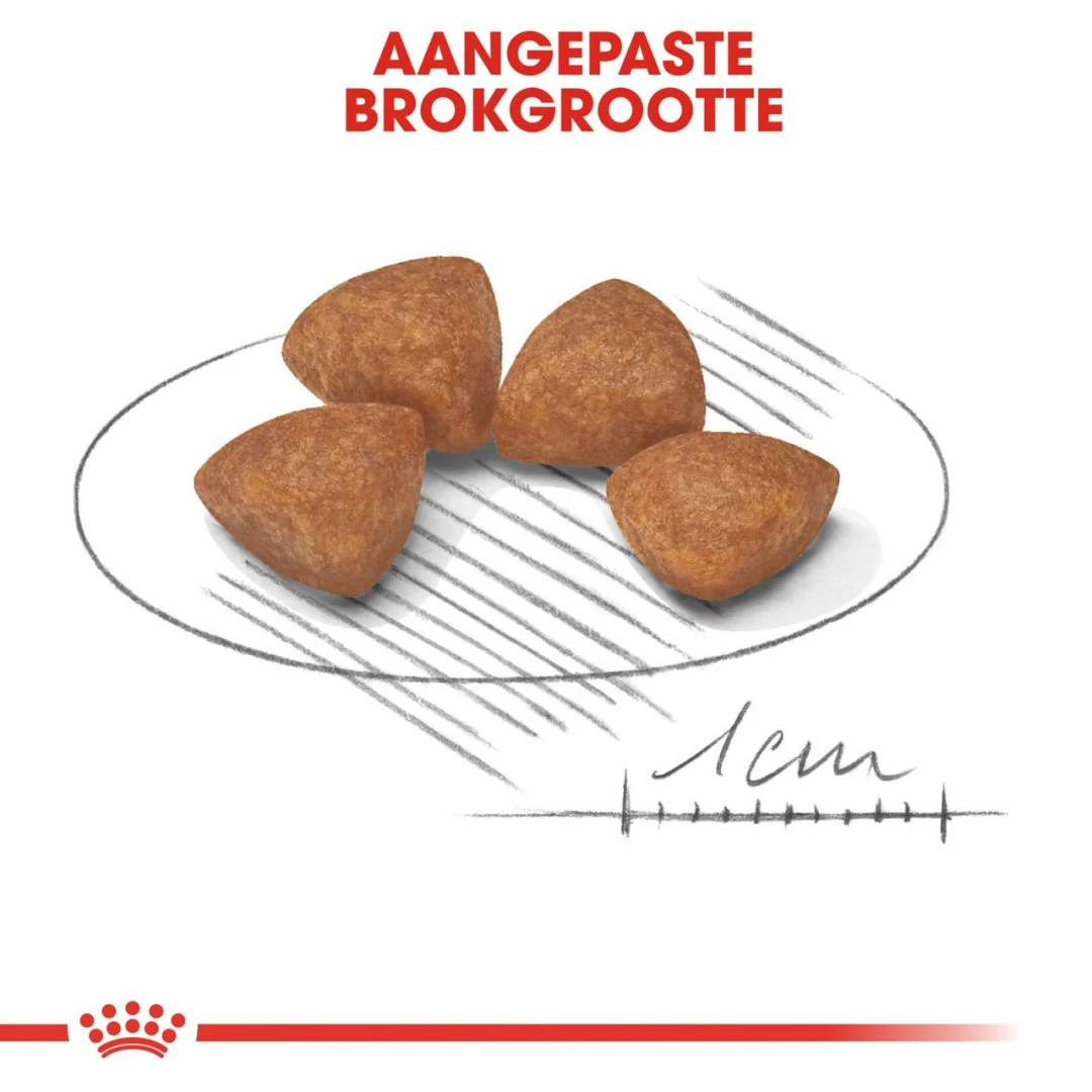 Royal Canin Hondenvoer X-Small Puppy 1,5 Kg 2 Royal Canin Hondenvoer X-Small Puppy 1,5 Kg - Afbeelding 2