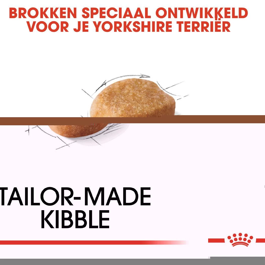 Royal Canin Hondenvoer Yorkshire Terrier Adult 3 Kg 2 Royal Canin Hondenvoer Yorkshire Terrier Adult 3 Kg - Afbeelding 2