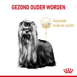 Royal Canin Hondenvoer Yorkshire Terrier Adult 8+ 3 Kg 5 Royal Canin Hondenvoer Yorkshire Terrier Adult 8+ 3 Kg -ROYAL CANIN Huisdier royal canin yorkshire terrier adult volwassen hond yorkshire terrier vanaf 8 jaar hero usp 1