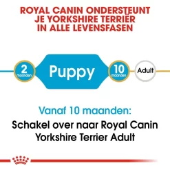 Royal Canin Hondenvoer Yorkshire Terrier Puppy 7,5 Kg 7 Royal Canin Hondenvoer Yorkshire Terrier Puppy 7,5 Kg -ROYAL CANIN Huisdier royal canin yorkshire terrier junior pup hond yorkshire terrier hero image 9