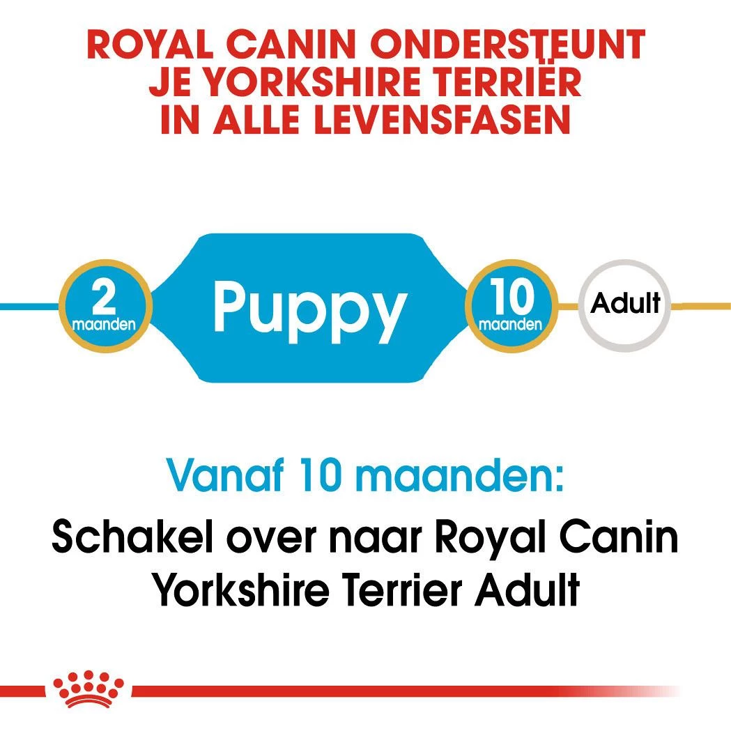 Royal Canin Hondenvoer Yorkshire Terrier Puppy 7,5 Kg 4 Royal Canin Hondenvoer Yorkshire Terrier Puppy 7,5 Kg - Afbeelding 4